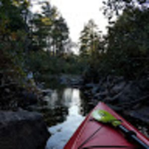 Meet your Posher, Ashlee